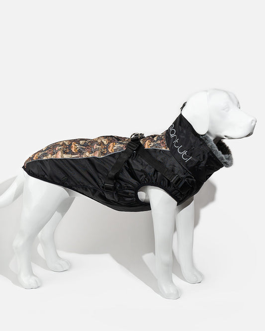Warm jacket for a large DRAKO dog
