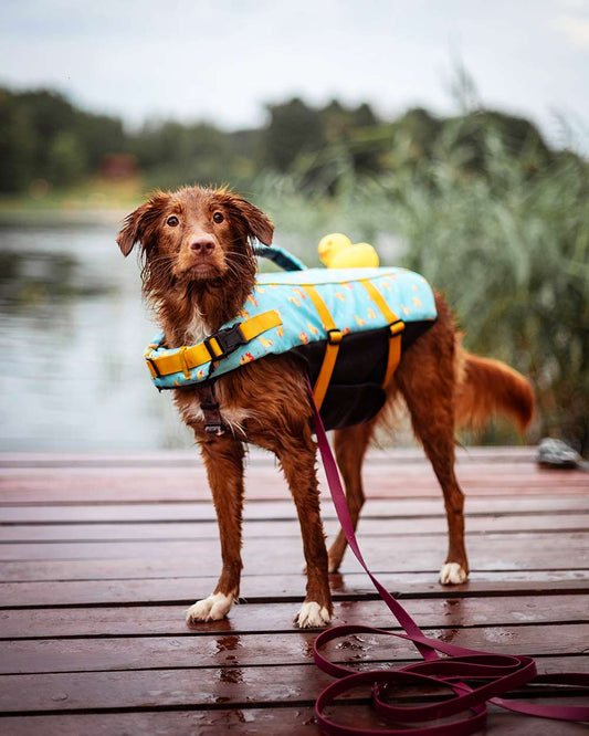 Očarujúci psík kapok s gumenou kačičkou DOGGY DUCK