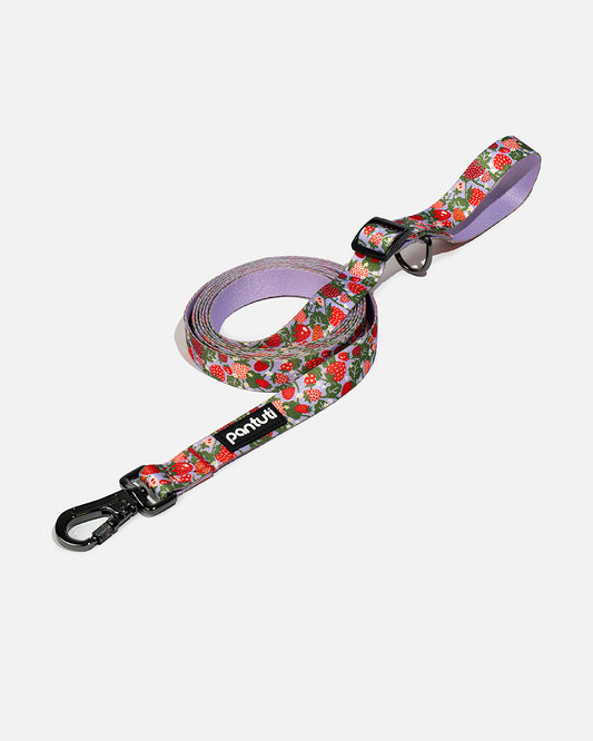HANDS FREE nastaviteľné vodítko pre psa s jahodami BERRY