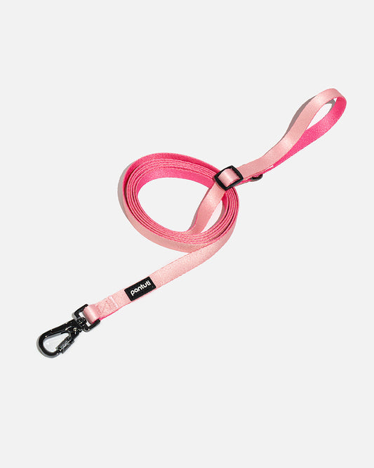 Regulowana smycz dla psa HANDS FREE w serduszka AMORE
