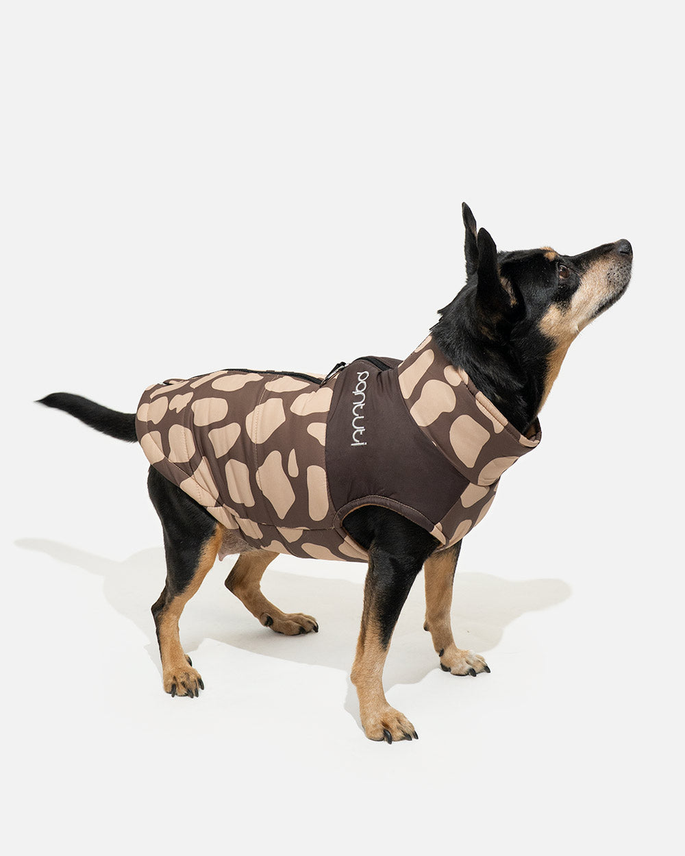 Bunda pre psa s motívom jeleňa BAMBI so zapínaním na chrbte