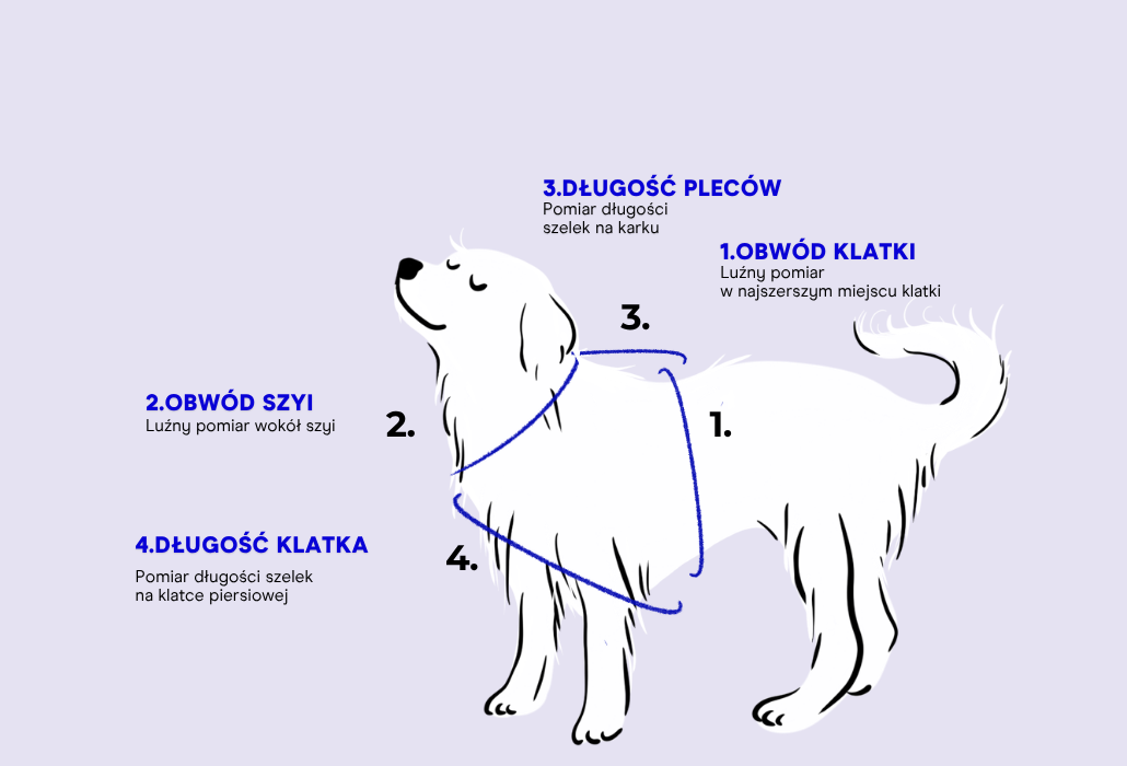 Szelki guard +/- 1 cm - measurement guide