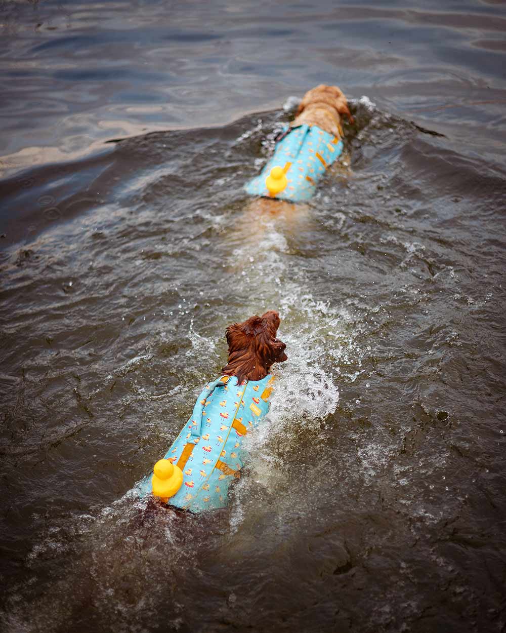 Očarujúci psík kapok s gumenou kačičkou DOGGY DUCK