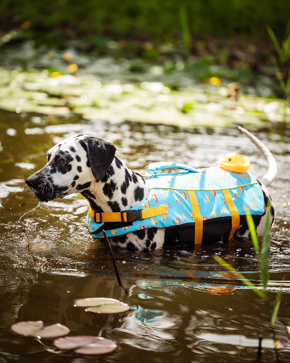 Očarujúci psík kapok s gumenou kačičkou DOGGY DUCK