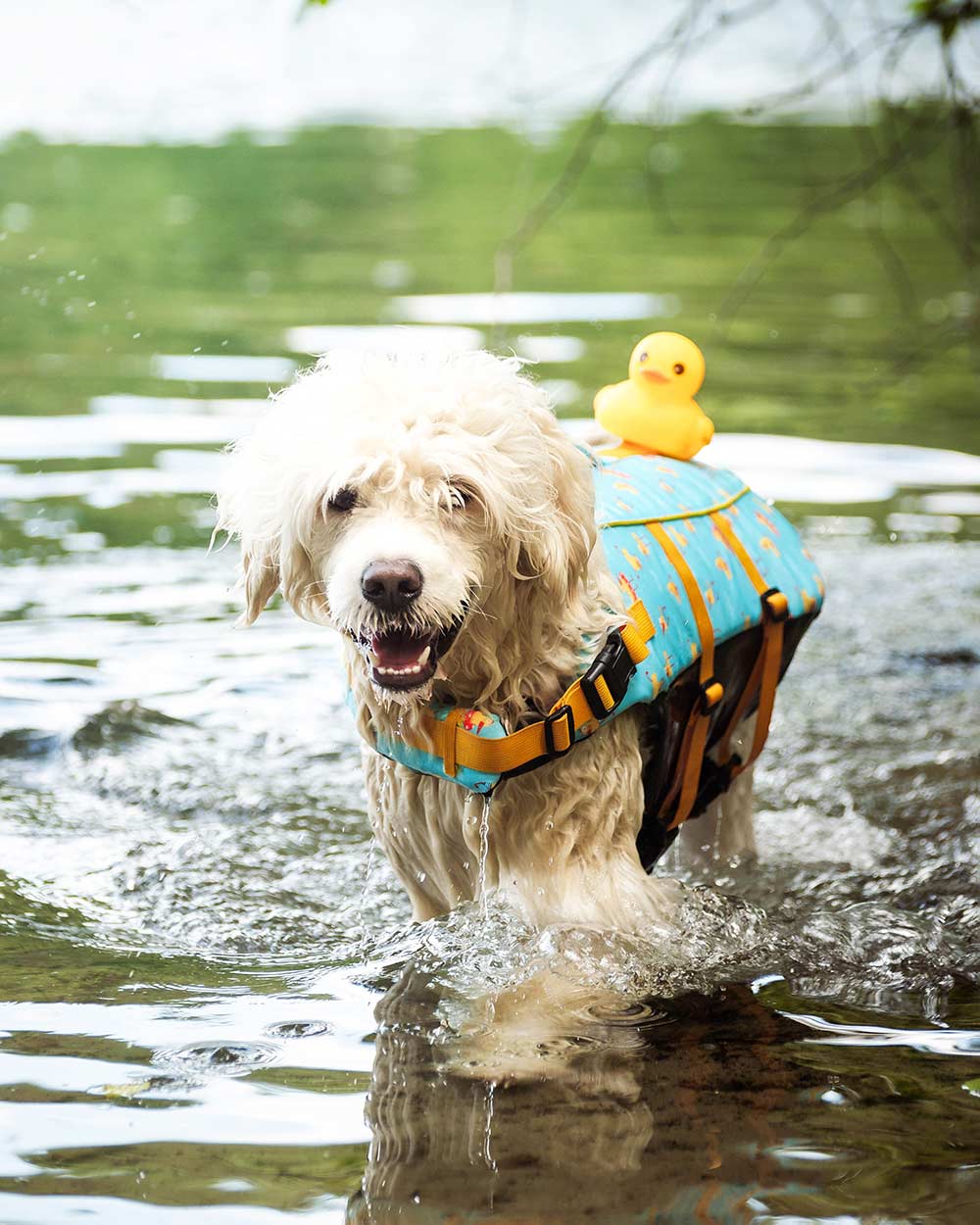 Očarujúci psík kapok s gumenou kačičkou DOGGY DUCK