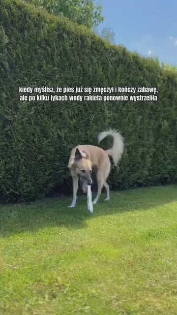 Skladacia silikónová cestovná fľaša MONTE pre zvieratá